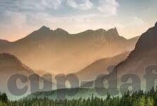 沙巴足球比分网-沙巴足球比分网，球迷的实时信息宝库与赛事分析利器