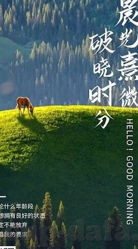 足球118比分直播-足球118比分直播，实时追踪绿茵激情，共赴足球盛宴